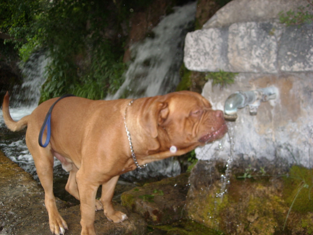 Dscn0446
