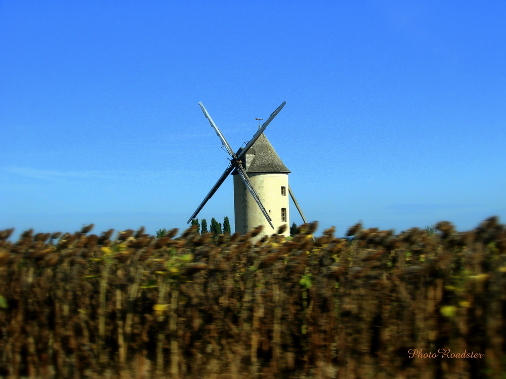 Moulin