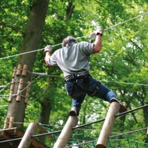 Accrobranche detail2