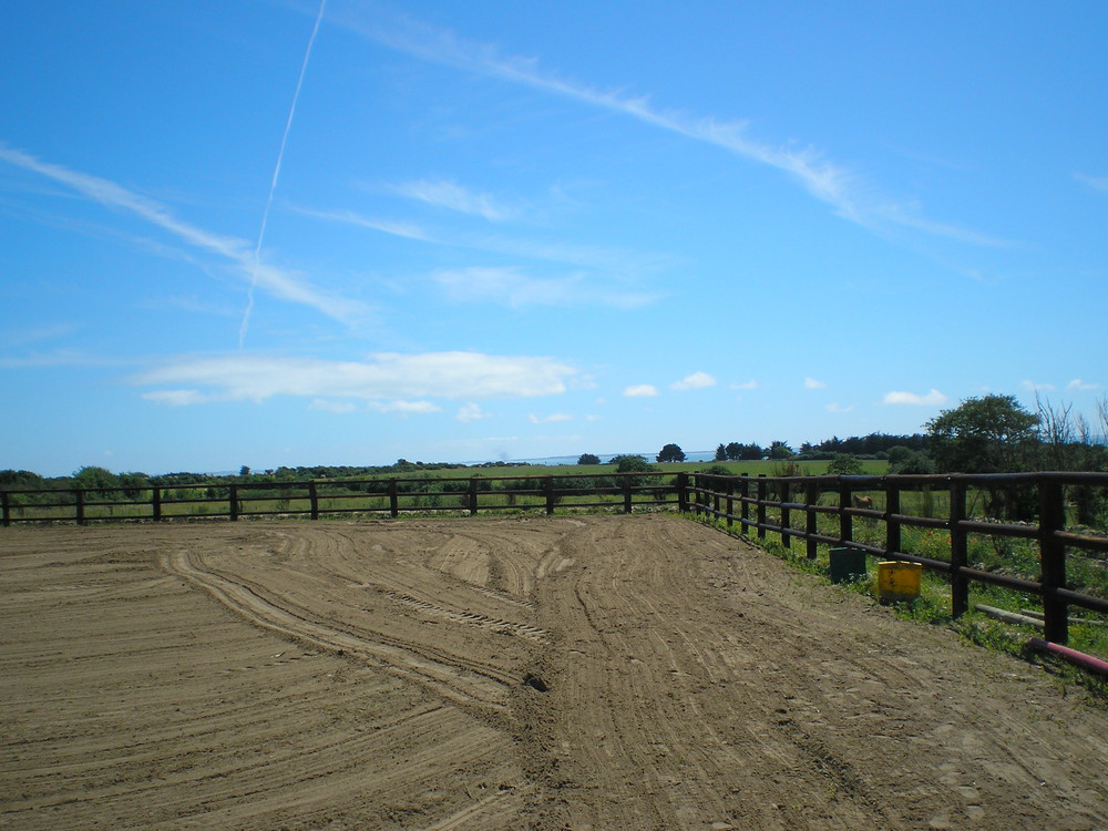 P8100009