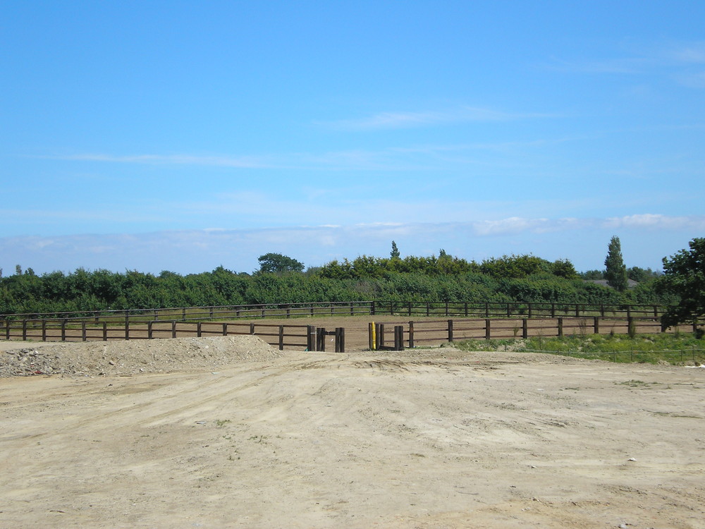 P8100024