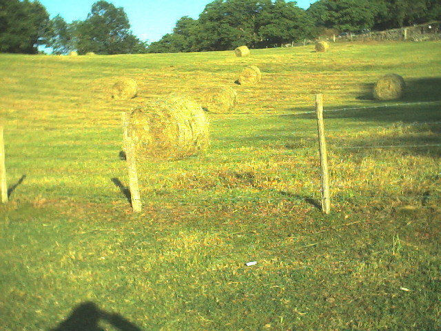 Img 0009