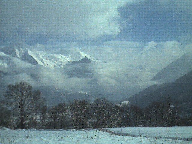 Img 0031