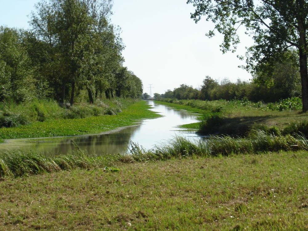 Aout 2009 canal charente Seudre 005 1024x768 