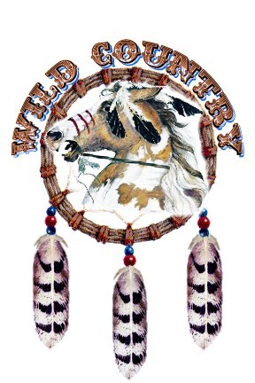 Copie de logo Wild Country final