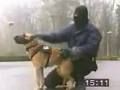 Chien 2