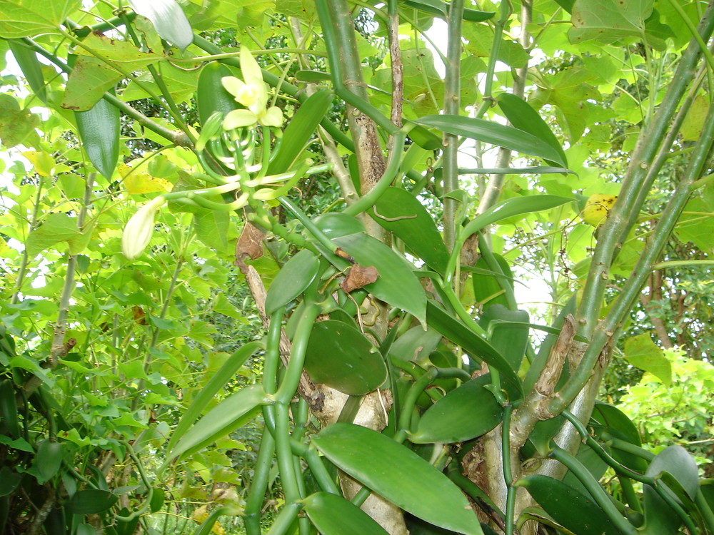 Dsc00072