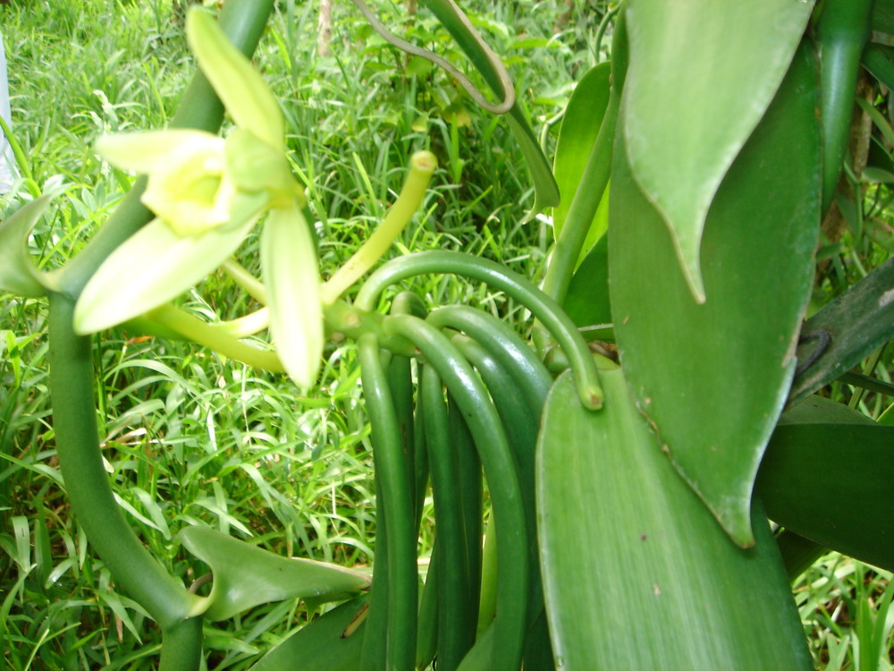 DSC00077
