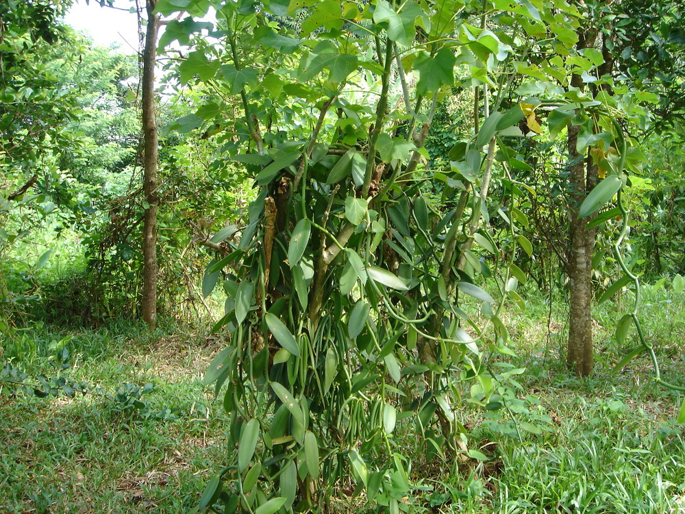 DSC00130