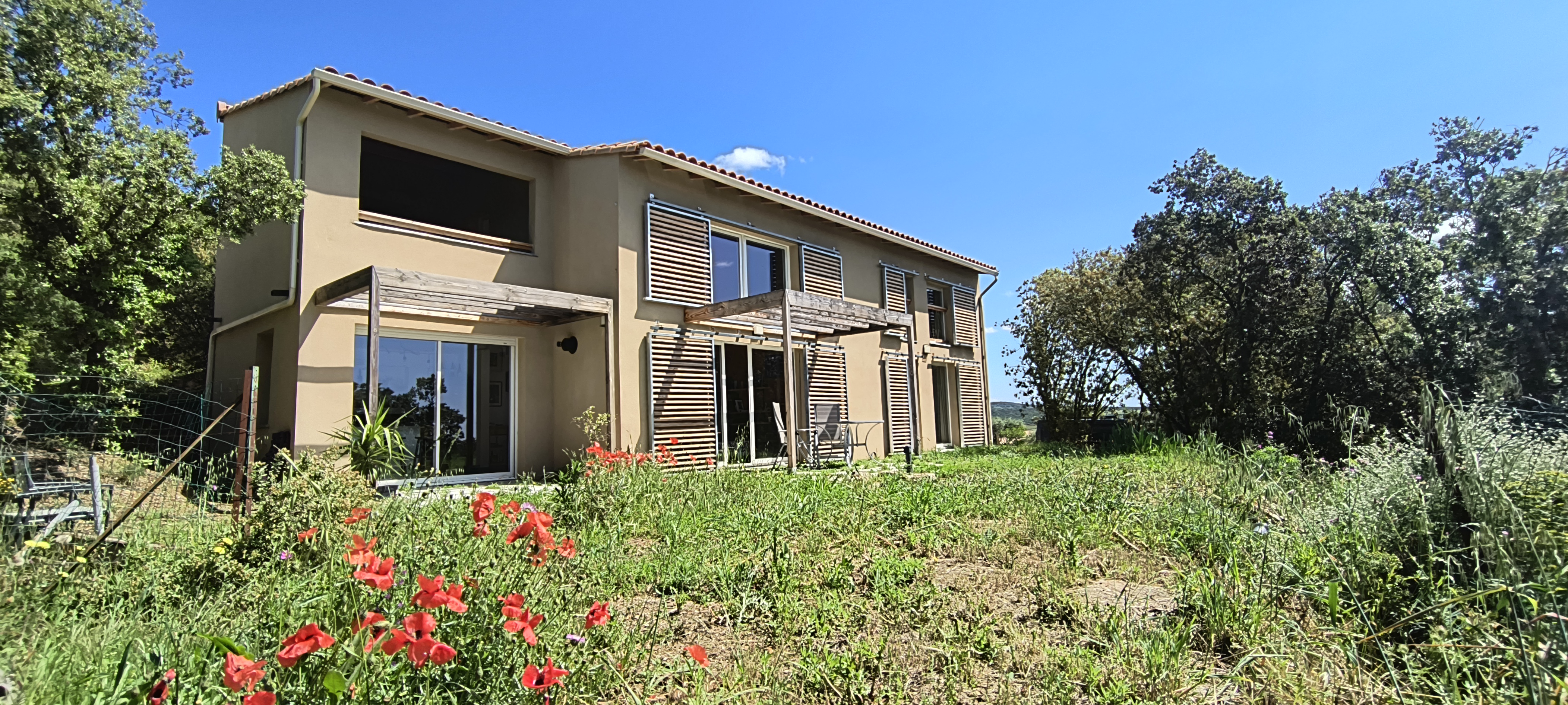 240517 jardin coquelicot 003