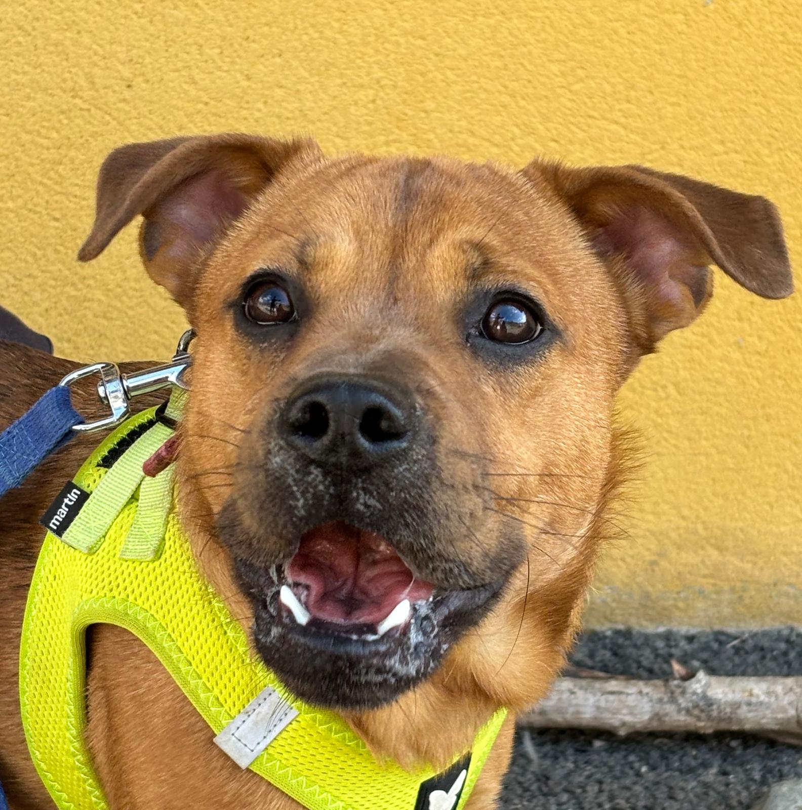 Whatsapp image 2025 04 06 at 19 24 11