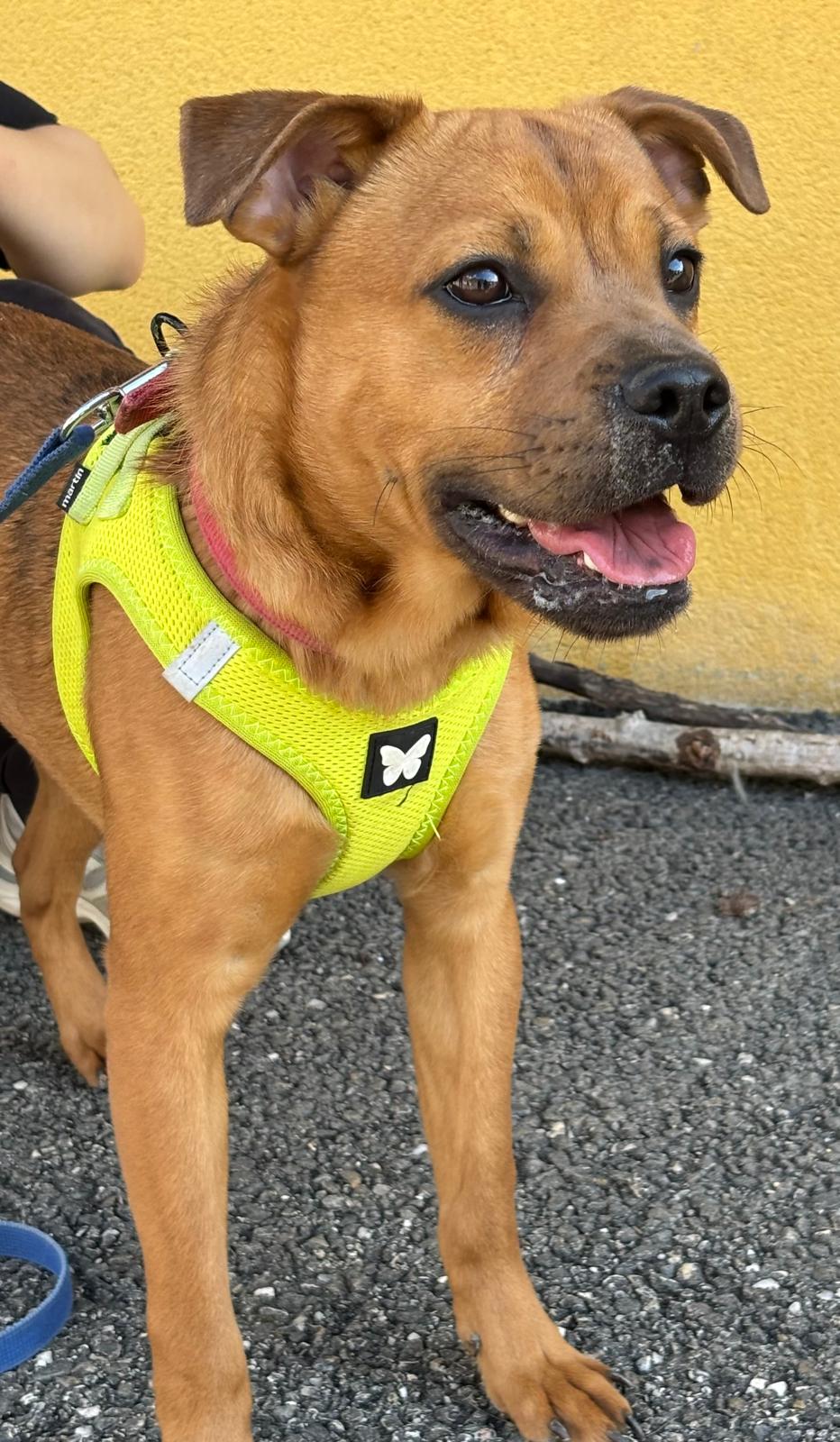 Whatsapp image 2025 04 06 at 19 24 11 2 