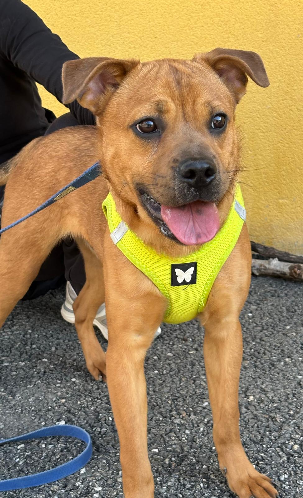 Whatsapp image 2025 04 06 at 19 24 11 1 