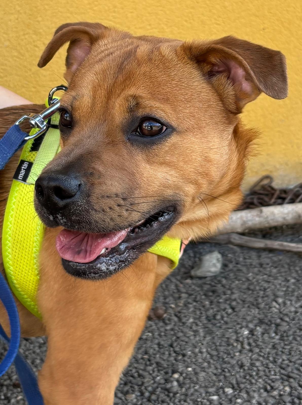 Whatsapp image 2025 04 06 at 19 23 44