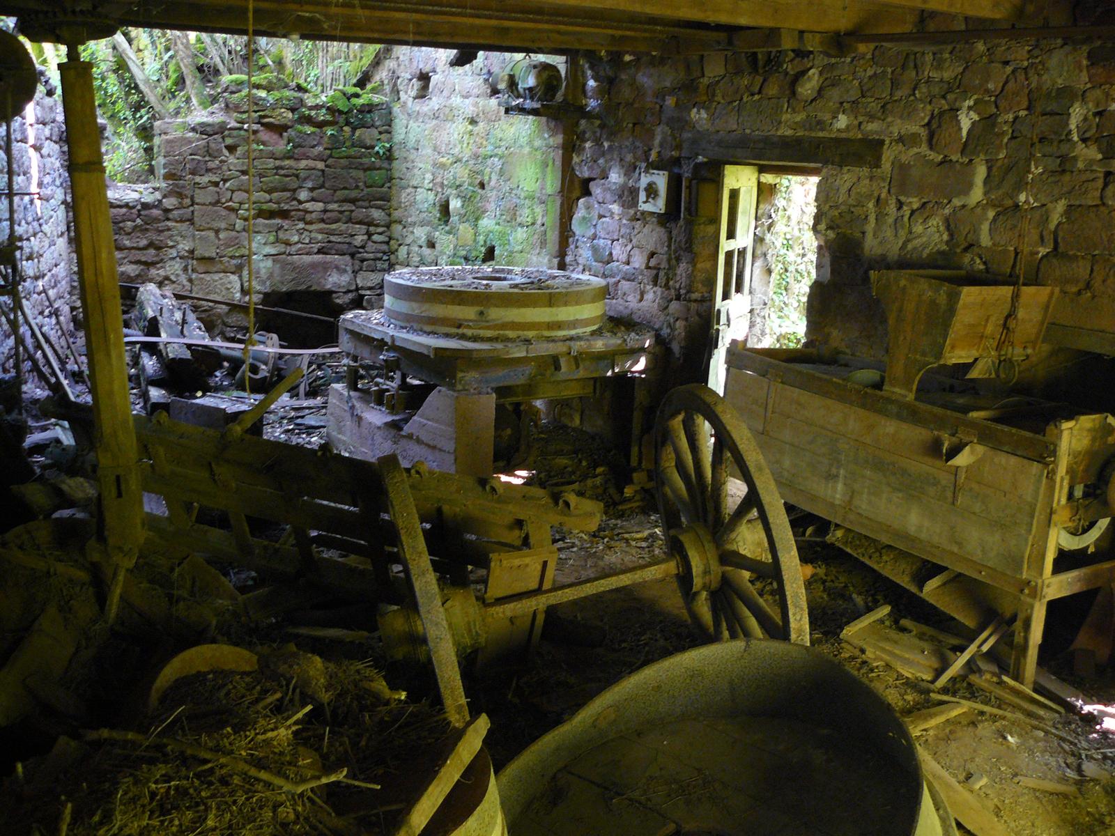 Le sal pres de pruines