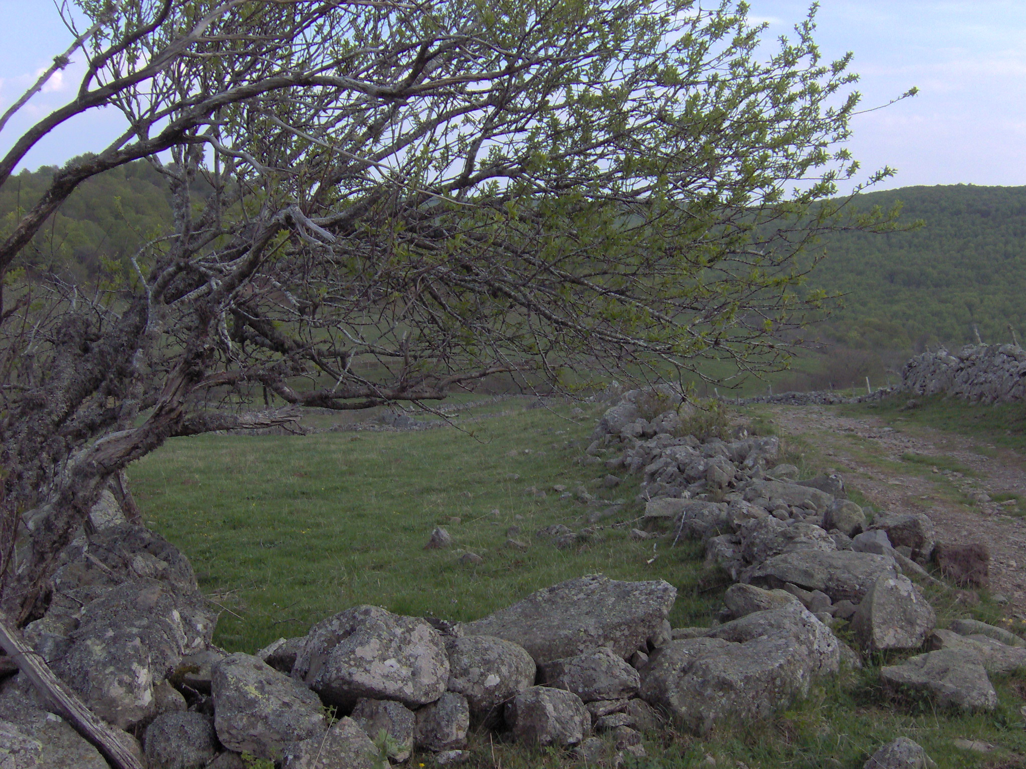Rouergue 23 