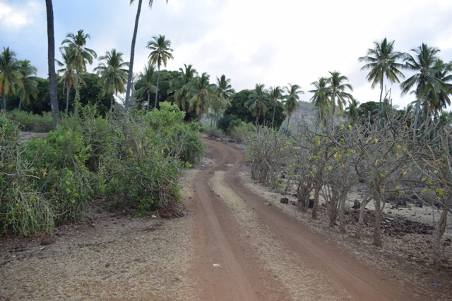 Dsc 0090