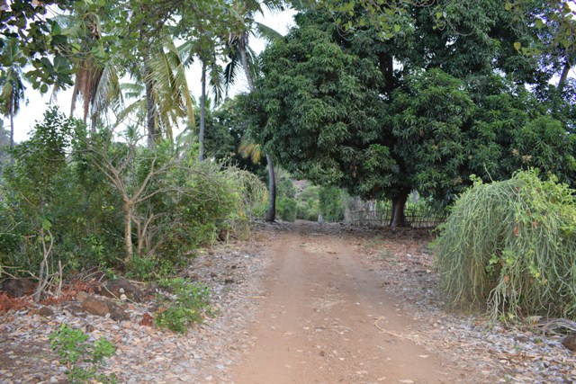 Dsc 0091
