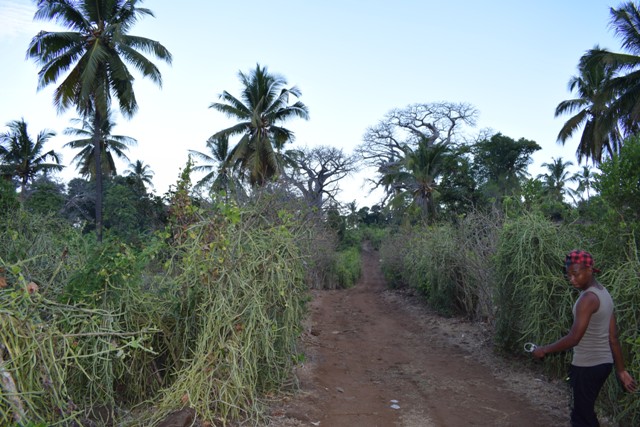 Dsc 0092