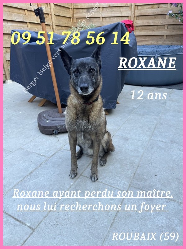 Roxane-post-2