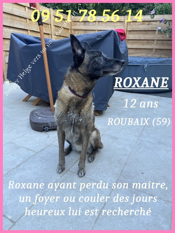 Roxane-post-1
