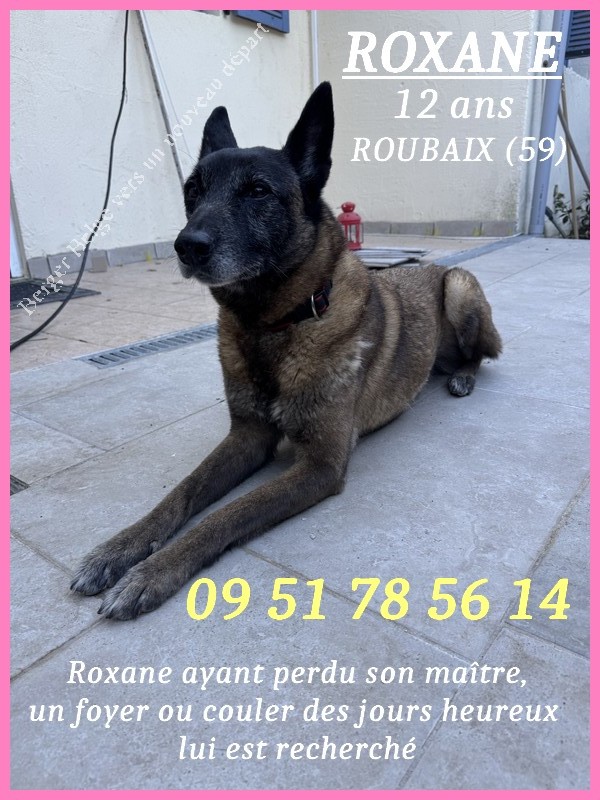 Roxane-post-3