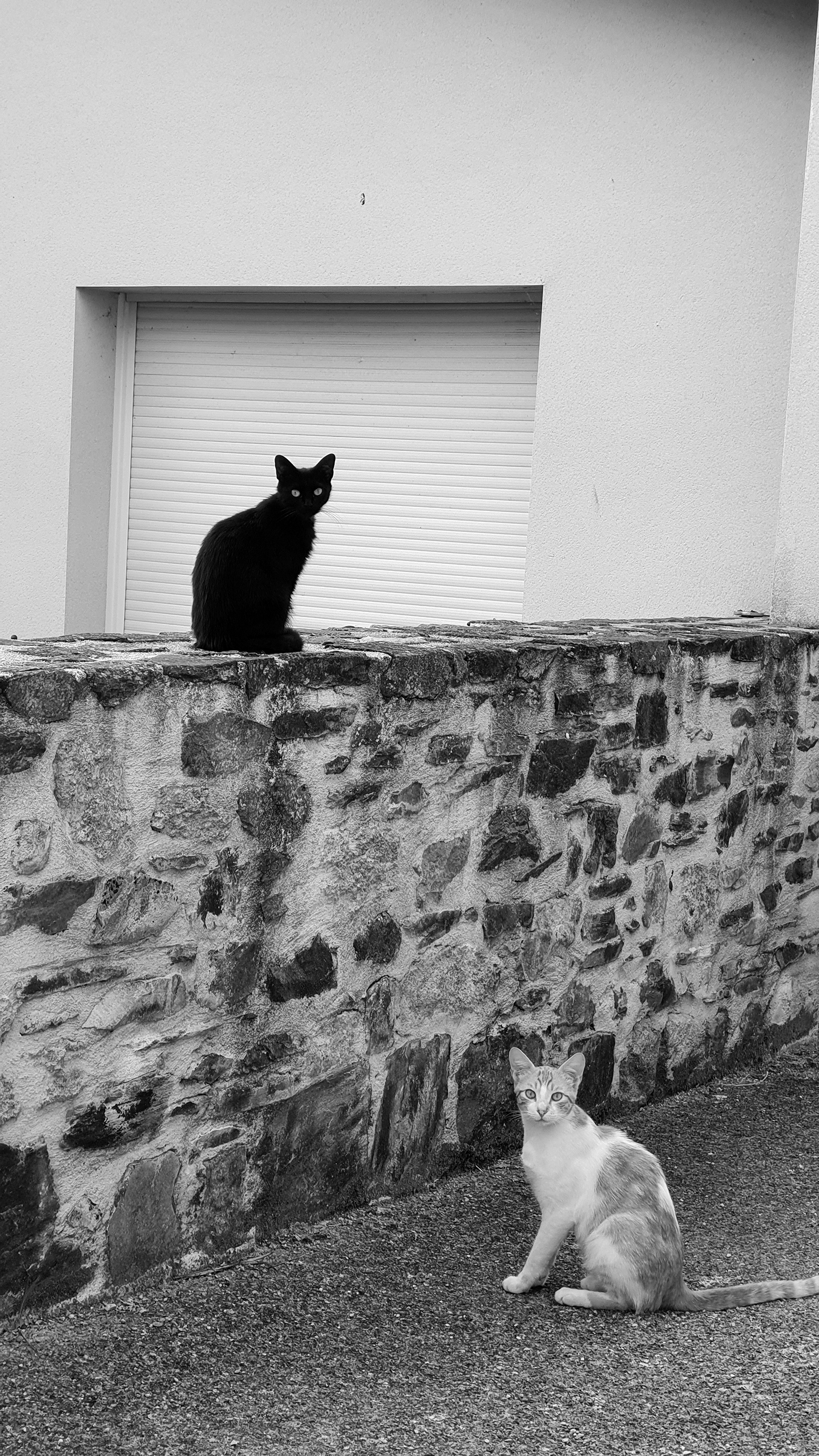 Chats