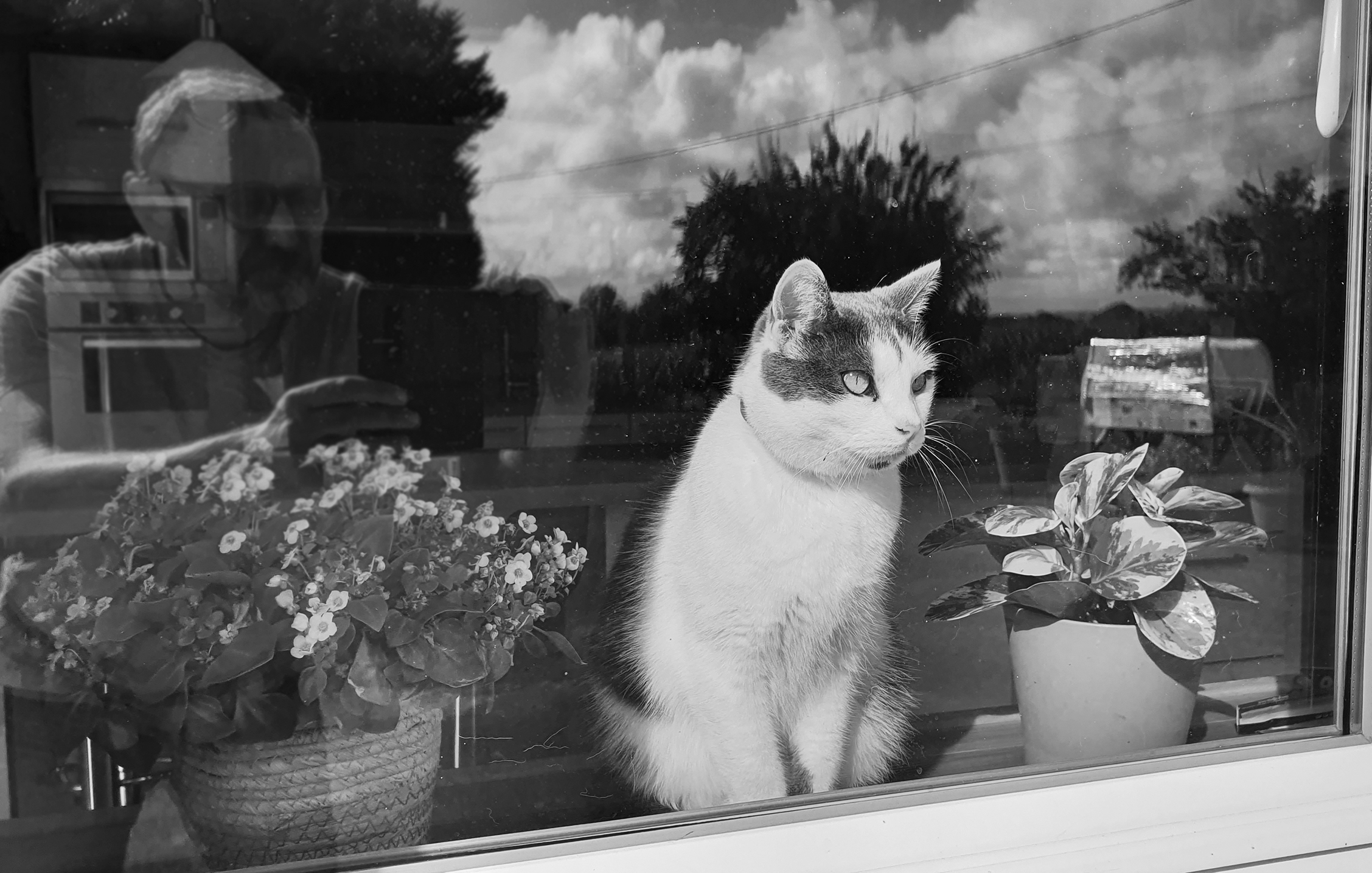 Chat1