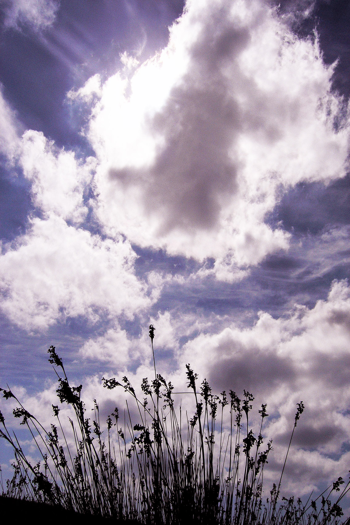 Nuage1