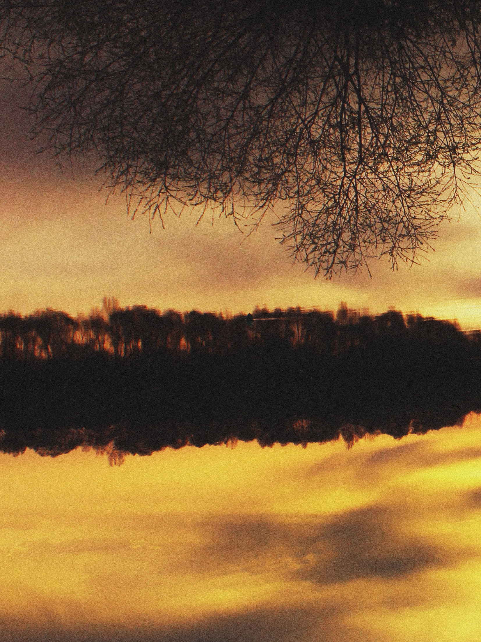Paysage2