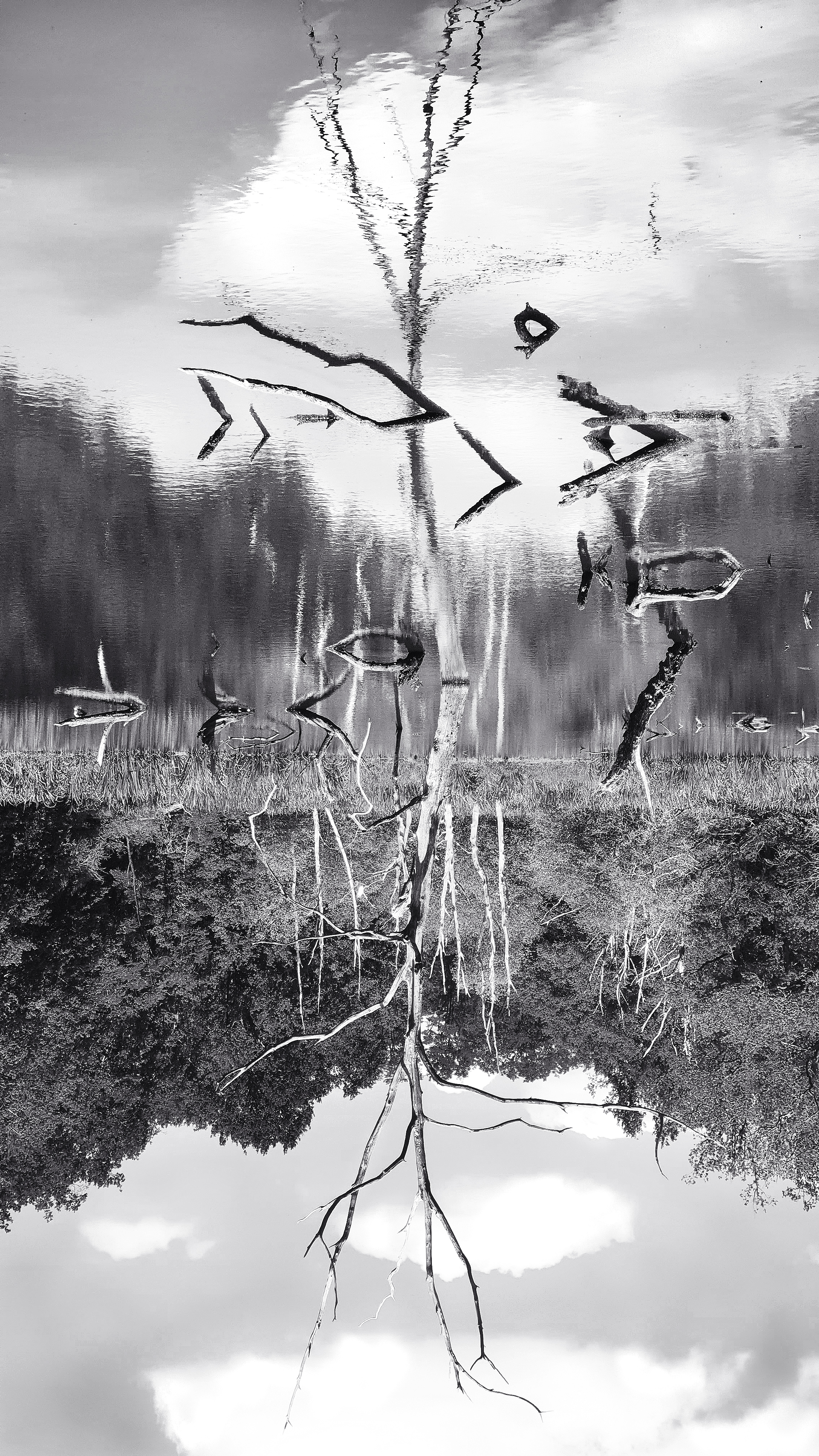 Reflets21