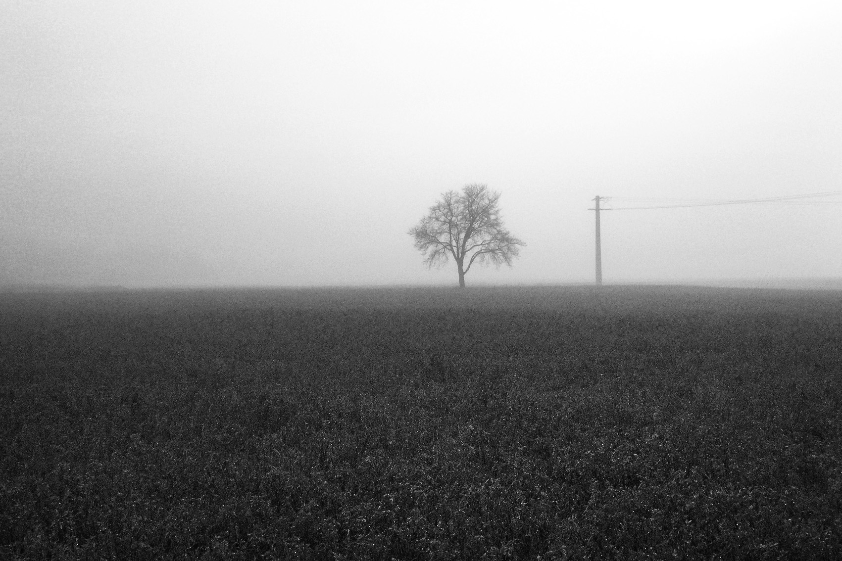 Rural1