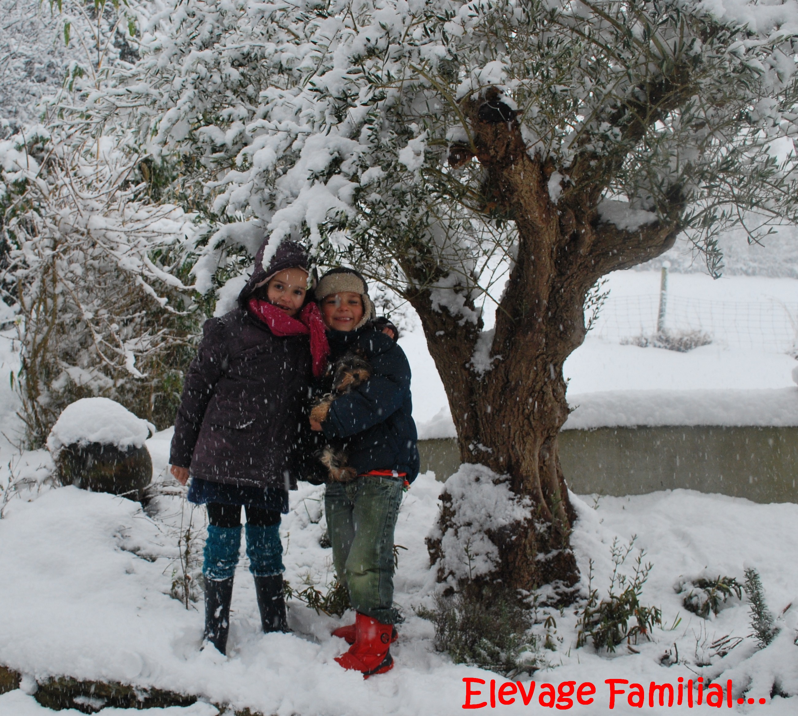 Elfami11210