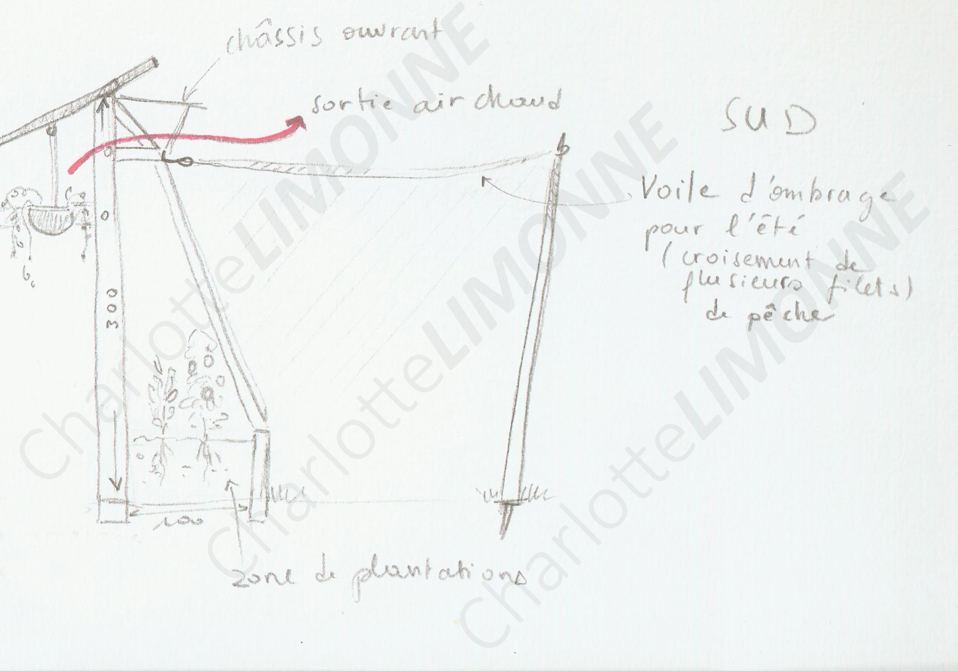 Detail voiles ombrage