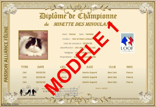 Diplomes-paf