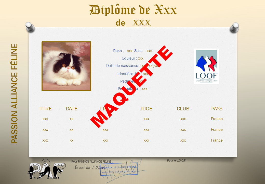 Maquette-diplome-paf