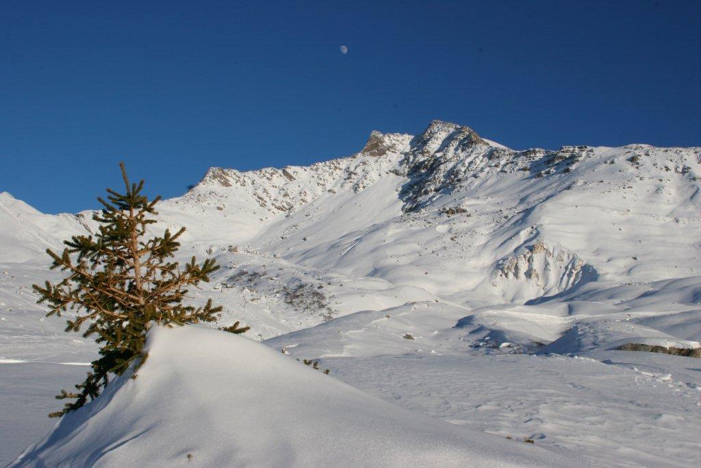 Franck panorama 15 