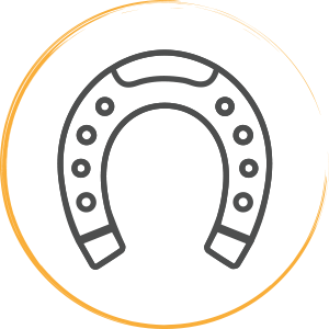 Logo-excu-cheval
