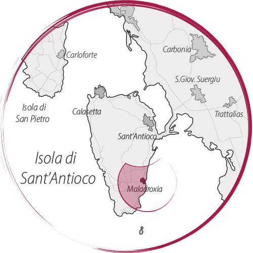 Carte-maladroxia-rose