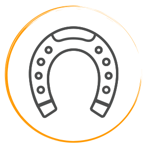 LOGO-fd-blanc-cheval