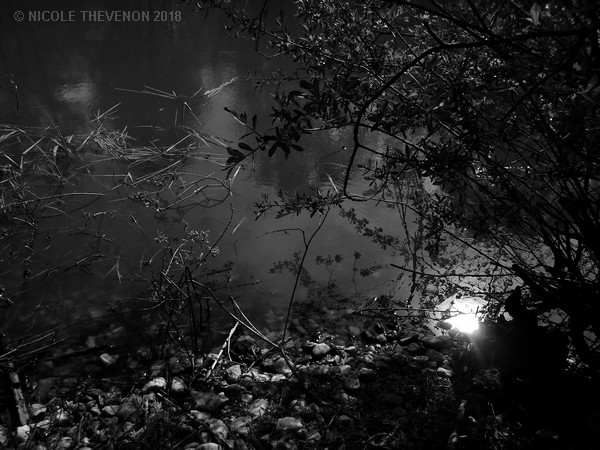 Soleil dans l eau noire 2018 17 