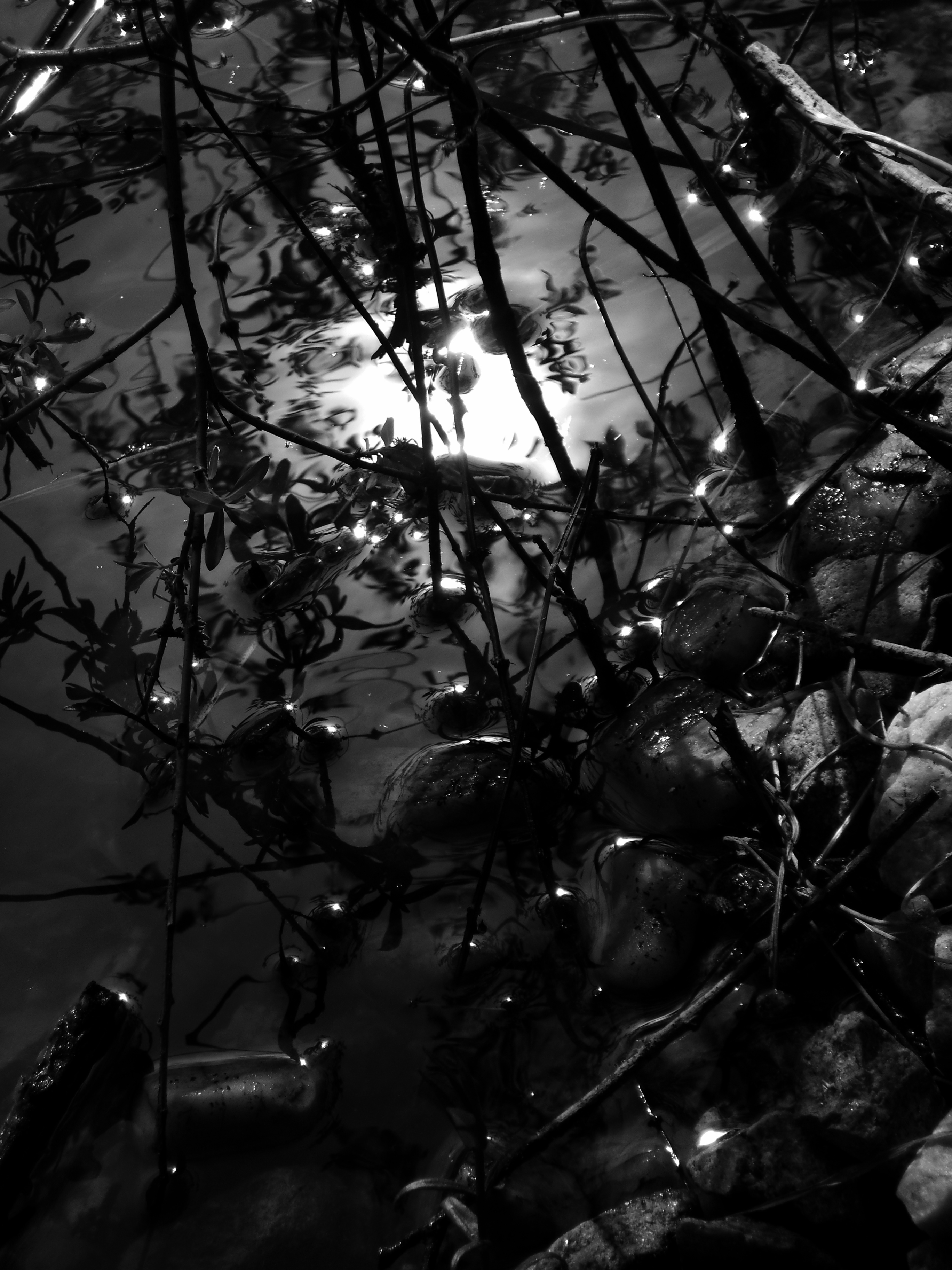 Soleil dans l eau noire 2018 31 