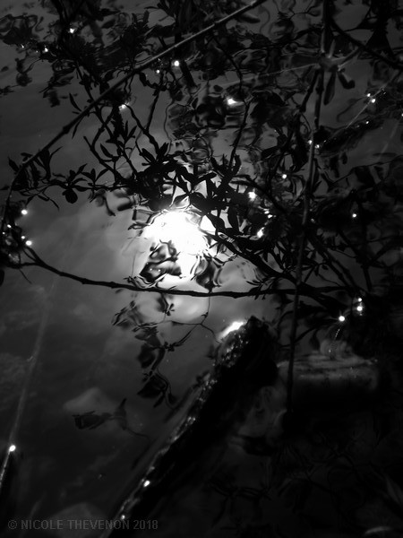 Soleil dans l eau noire 2018 34 
