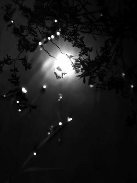Soleil dans l eau noire 2018 38 