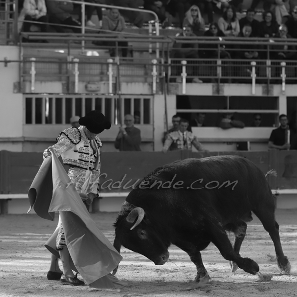 St martin de crau 20190407 aprem 2 