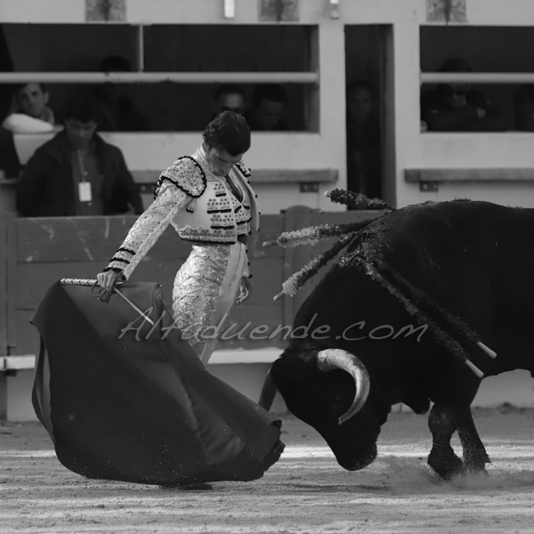 St martin de crau 20190407 aprem 3 