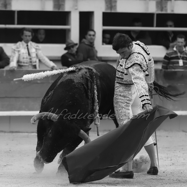 St martin de crau 20190407 aprem 5 