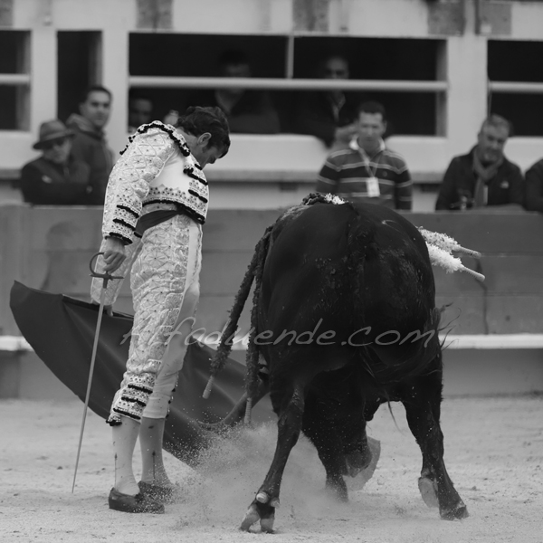 St martin de crau 20190407 aprem 6 