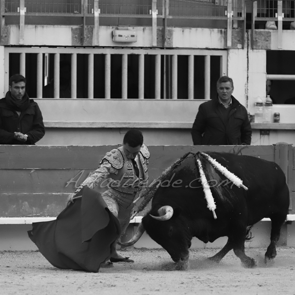 St martin de crau 20190407 aprem 7 