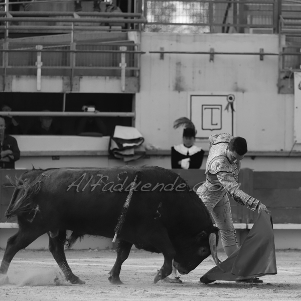 St martin de crau 20190407 aprem 8 